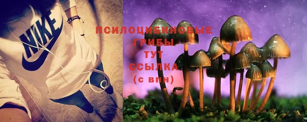 трава Баксан