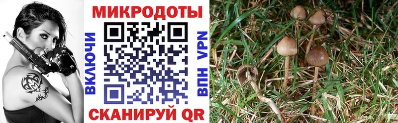 Псилоцибиновые грибы прущие грибы  Купить закладки  Талица 
