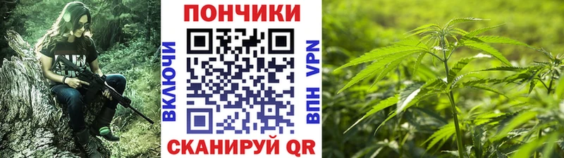 Купить где  Талица  Конопля семена 